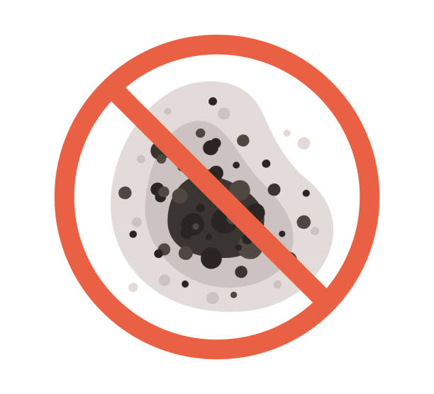 Best Environmental Consulting for Mold Prevention  in Lady Lake, FL