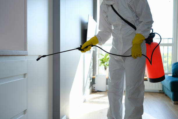 Best Crawl Space Mold Remediation  in Lady Lake, FL